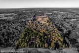 4142 Fm 1817 Rd - Photo 8