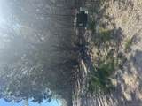 2503 Thurber Ln - Photo 3