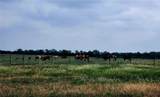 TBD County Road 446 - Photo 1