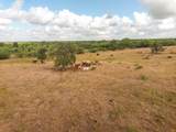TBD County Road 446 - Photo 2