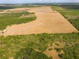 TBD County Road 446 - Photo 3