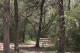 1690 County Road 413 - Photo 7