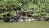 172 Bluff Trl - Photo 18