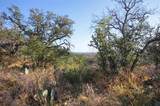 4111 State Highway 29 - Photo 17