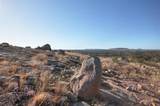 4111 State Highway 29 - Photo 3