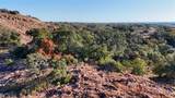 4111 State Highway 29 - Photo 30