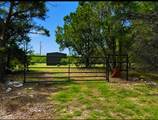 300 Live Oak Hills Ct - Photo 2