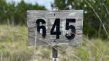 Lot 645 Wagon Wheel Trl - Photo 5