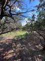 417 Prochnow Rd - Photo 18