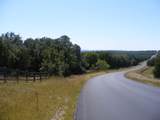 3217 Brasada Ln - Photo 25