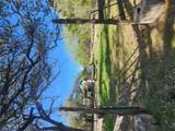 200 Little Barton Dr - Photo 32