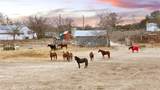 1274 County Road 2806 - Photo 31