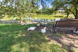 170 Kinloch Ct - Photo 34