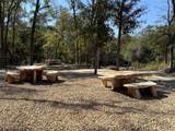 5242 Lassen Ln - Photo 30