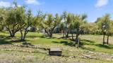 290 Sunset Rdg - Photo 33