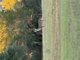 2636 Fm 532 - Photo 11