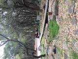 1850 Rainbow Ranch Rd - Photo 10