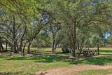 136 Thoroughbred Trce - Photo 23