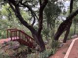 172 Bluff Trl - Photo 36