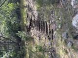 172 Bluff Trl - Photo 37
