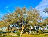 5802 Longhorn Lndg - Photo 7