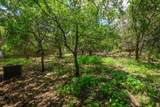 6 Basswood Cir - Photo 33