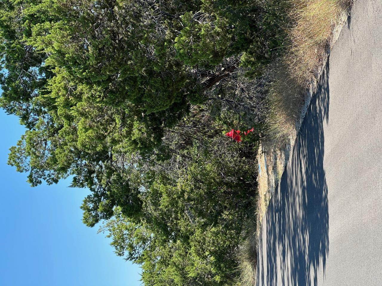 8503 Talon Cir - Photo 1