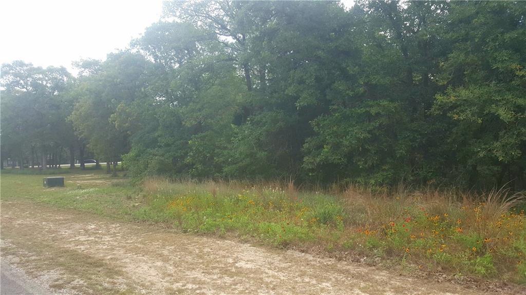 410 Arbors Cir - Photo 1
