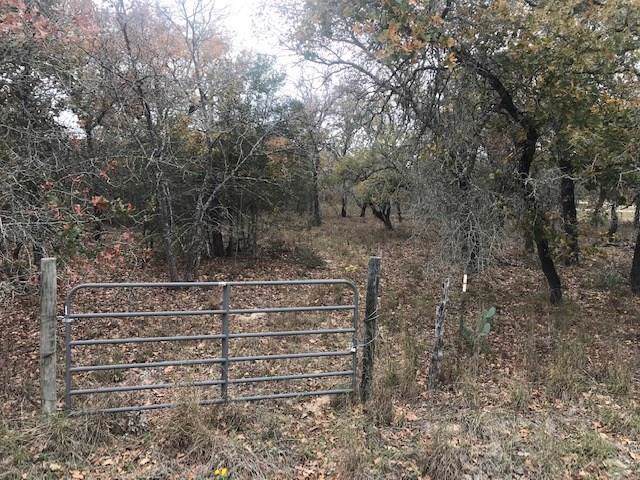 TBD Hickory Forrest Dr - Photo 1
