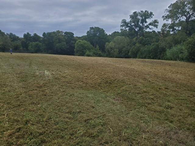 8717 Springdale Rd - Photo 1