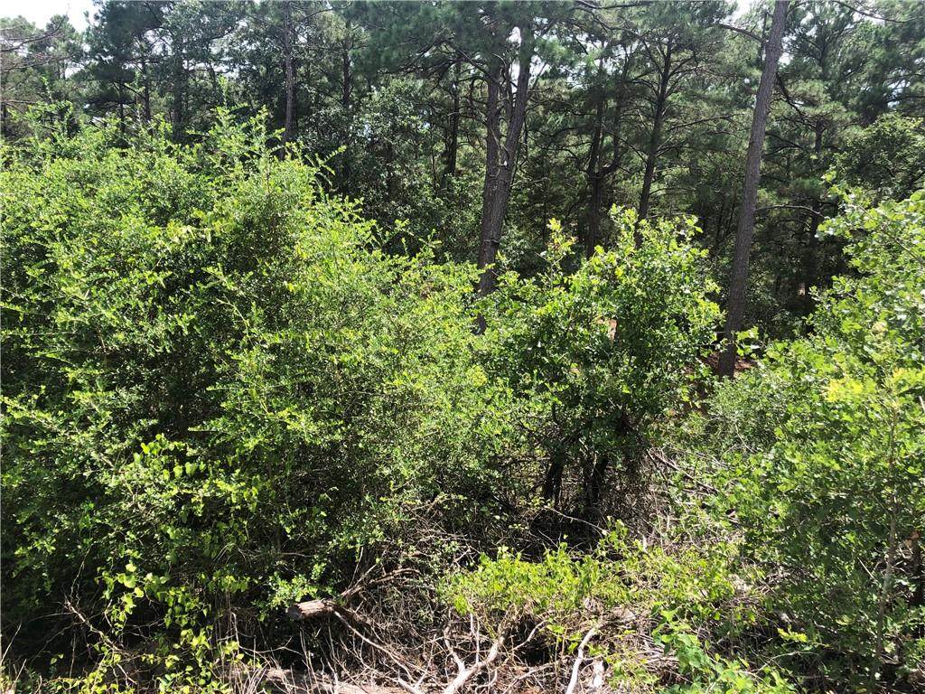 Lot 1388 Kaupa Ct - Photo 1