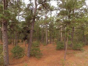 TBD Briar Forest Dr - Photo 1