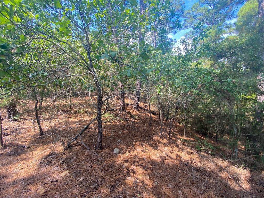 TBD Wainee Dr - Photo 1