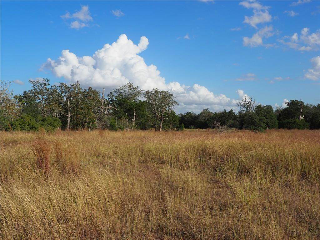 58 Verbena Trl - Photo 1