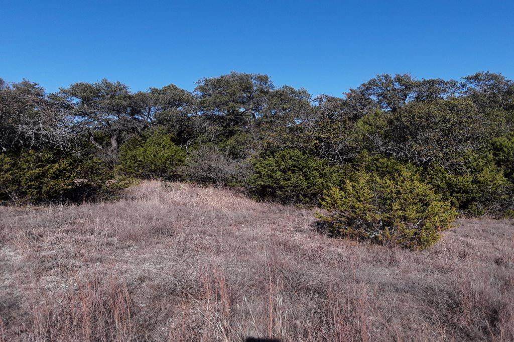 Lot 23 Elm Dr - Photo 1