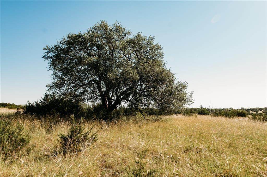 TBD TR 9 Pr 1240 - Photo 1