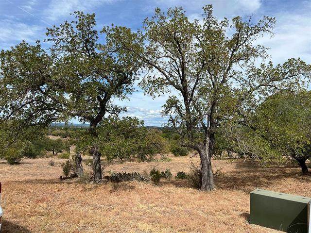 105 Cat Canyon - Photo 1