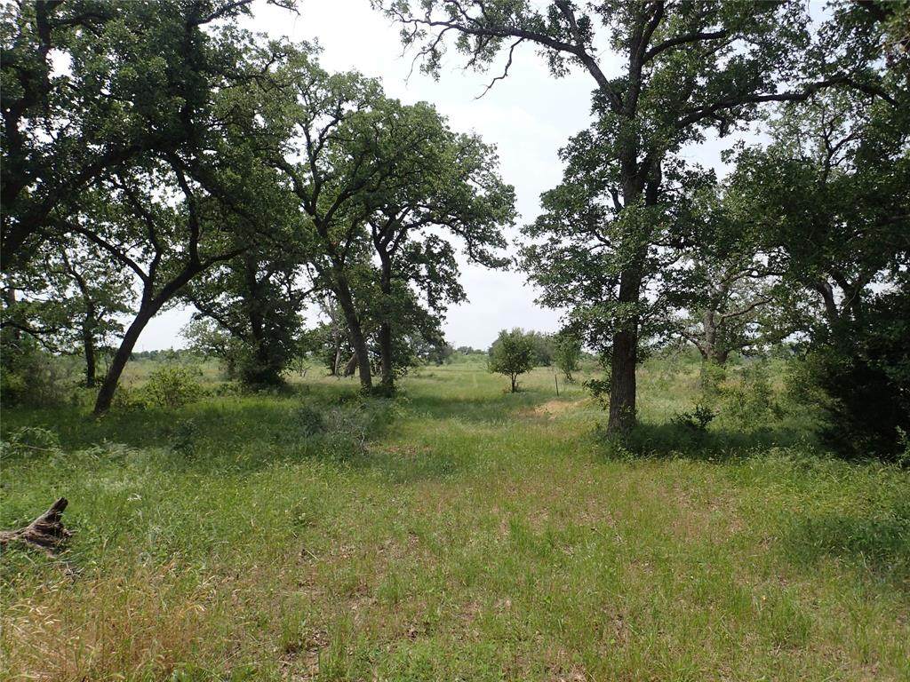 1140 Chalk Rd - Photo 1