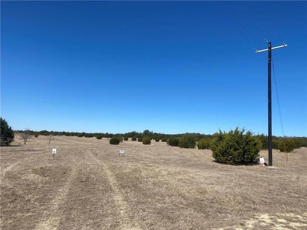 TBD County Road 3640 W/S - Photo 1