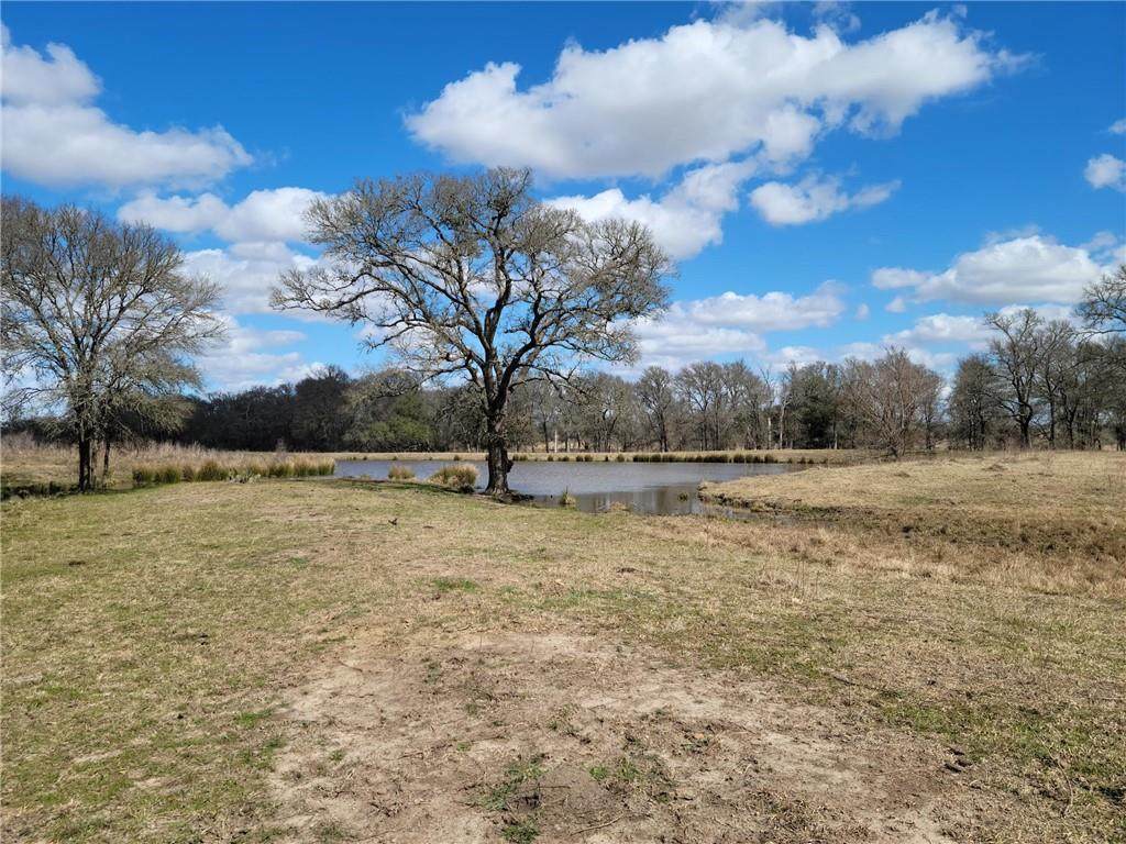 1242 Hwy 290 Pr - Photo 1