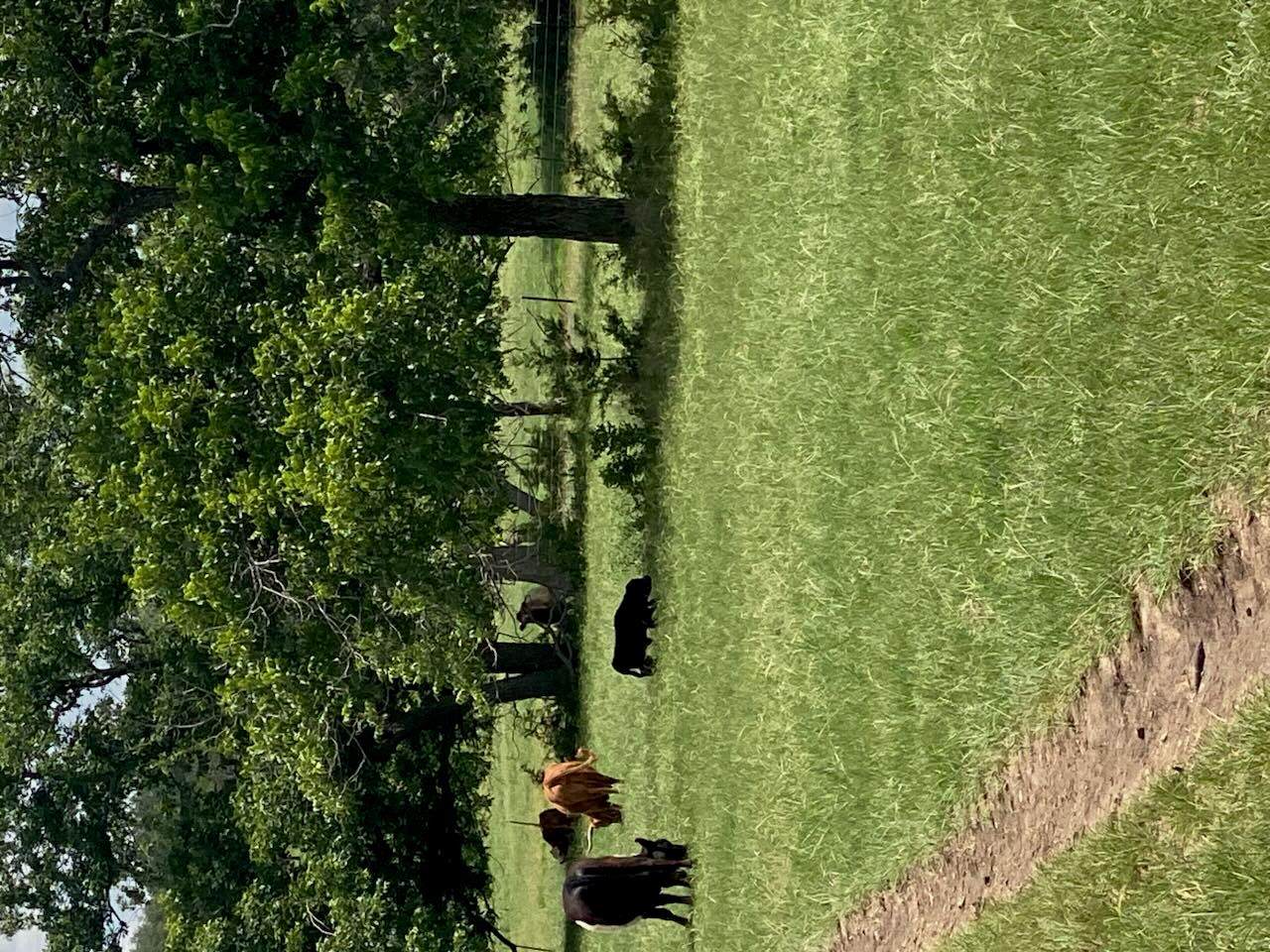 2029 County Road 200 - Photo 1