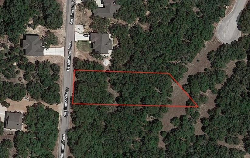 1065 Persimmon Pass - Photo 1