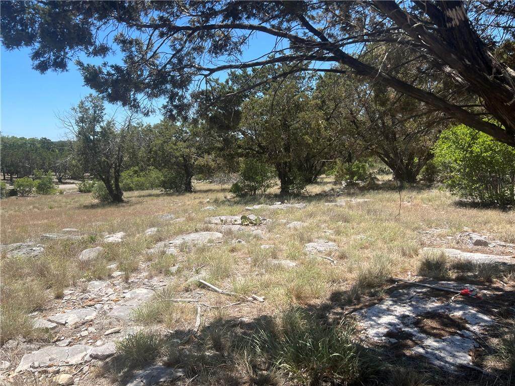 Lot 14110 Southwind St - Photo 1