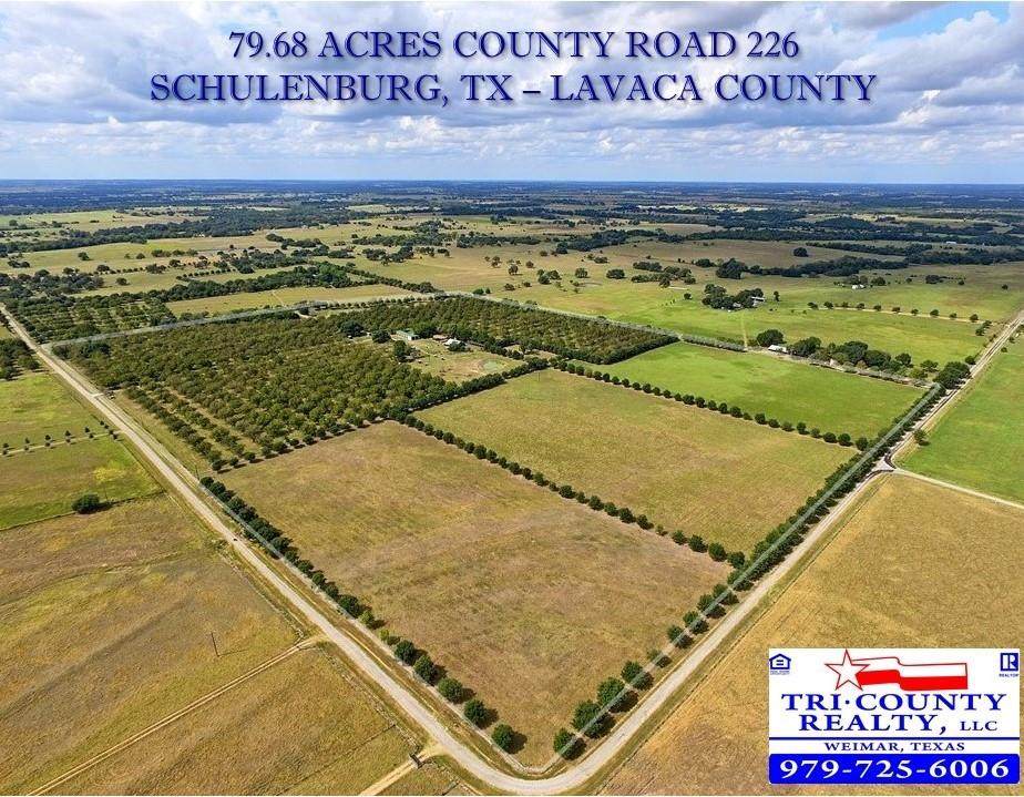 TBD County Road 226 - Photo 1