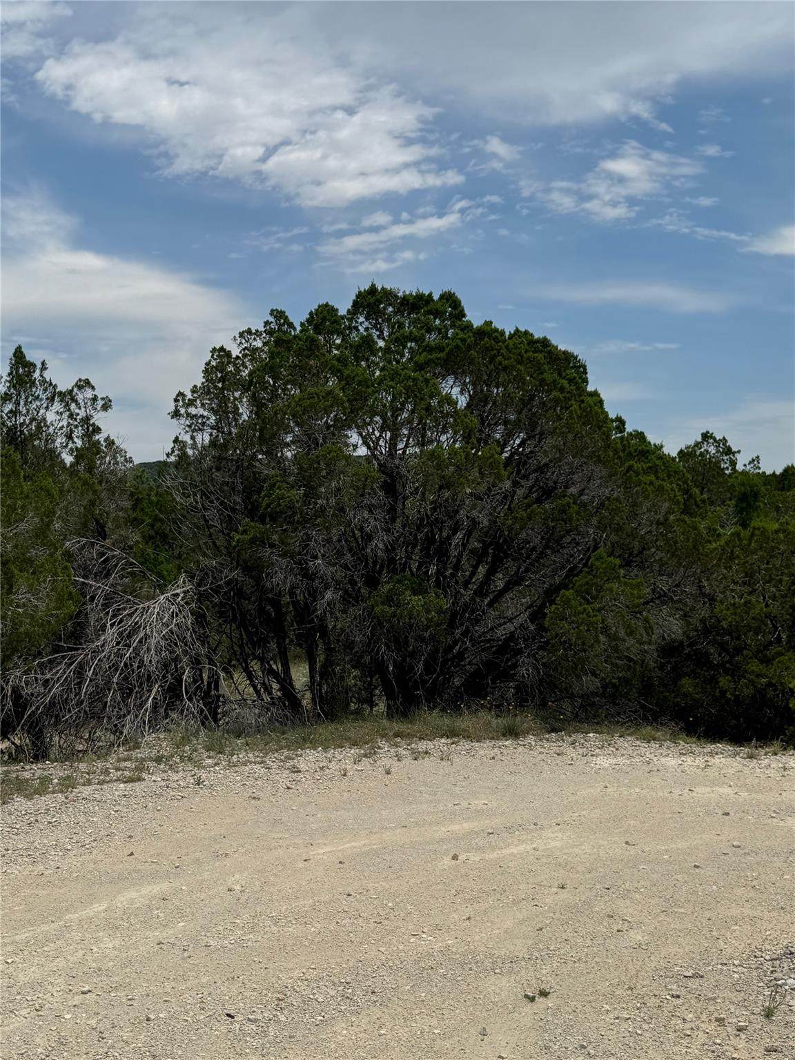 https://bt-photos.global.ssl.fastly.net/austin/orig_boomver_1_1658088-2.jpg