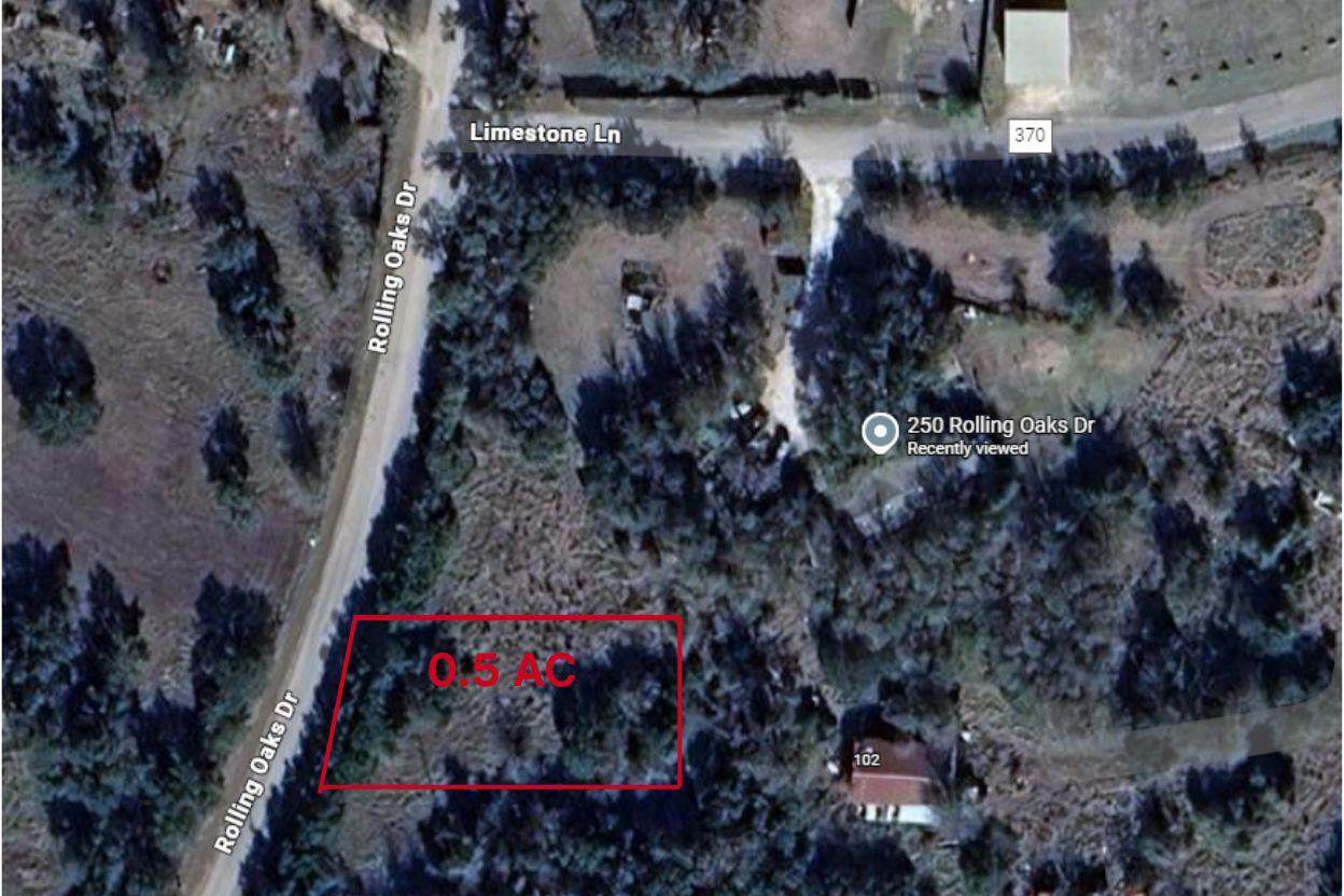 250 Rolling Oaks Dr - Photo 1
