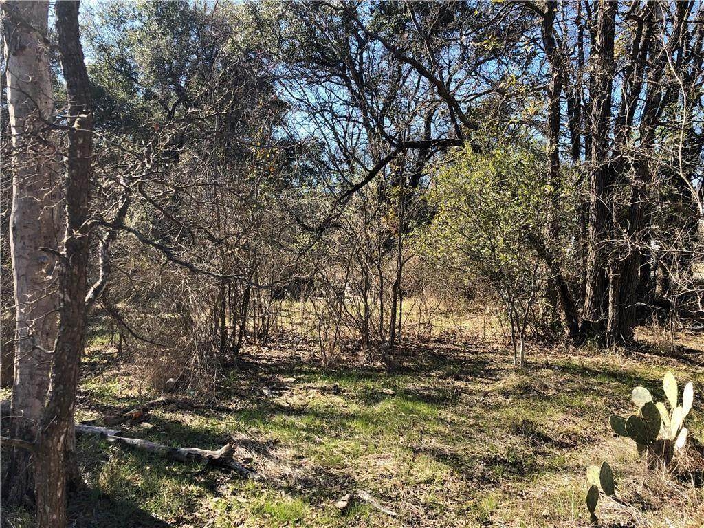 Lot 262,263,264 Elm Creek Dr - Photo 1