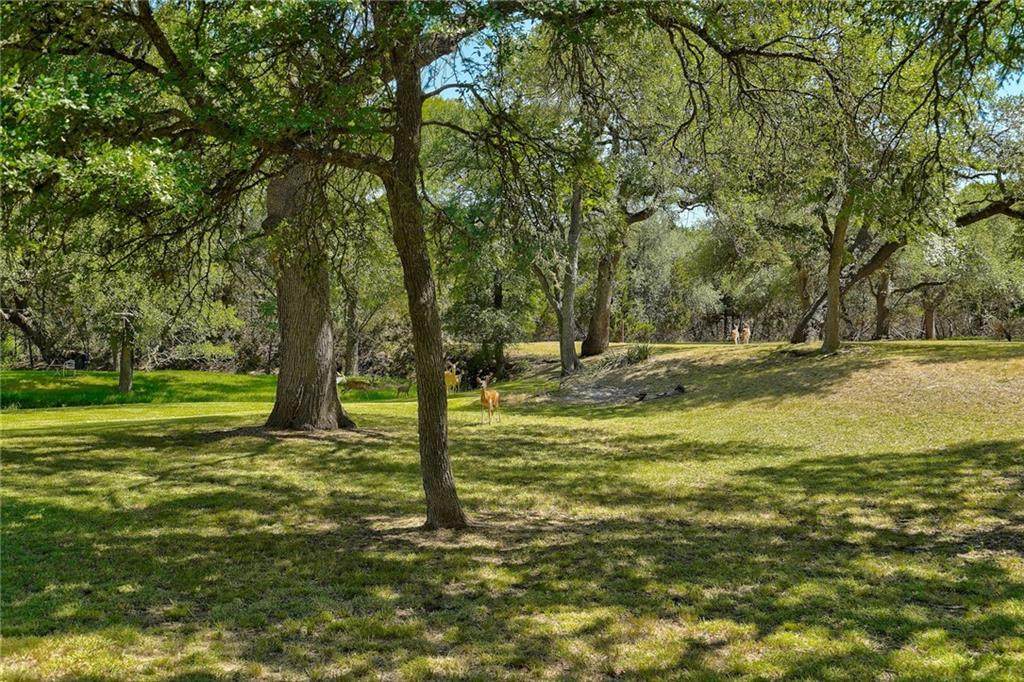 20 Long Creek Rd - Photo 1