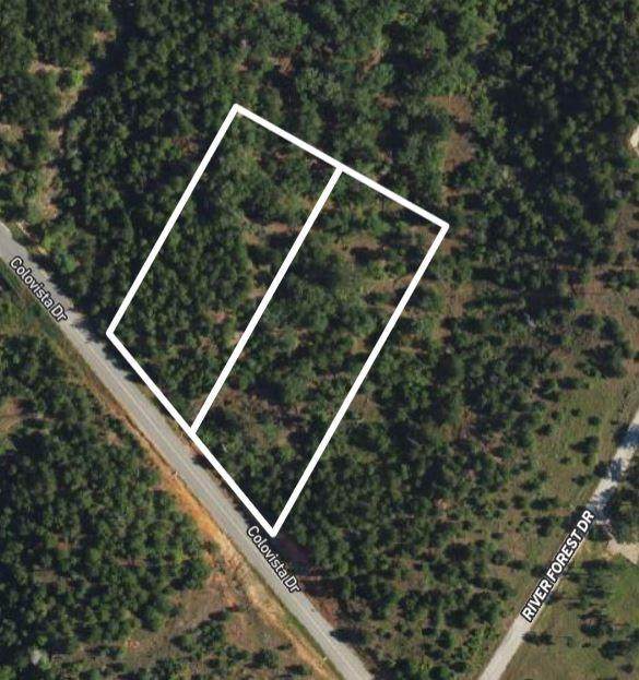 TBD - Lots 2 & 3 Colovista Dr - Photo 1