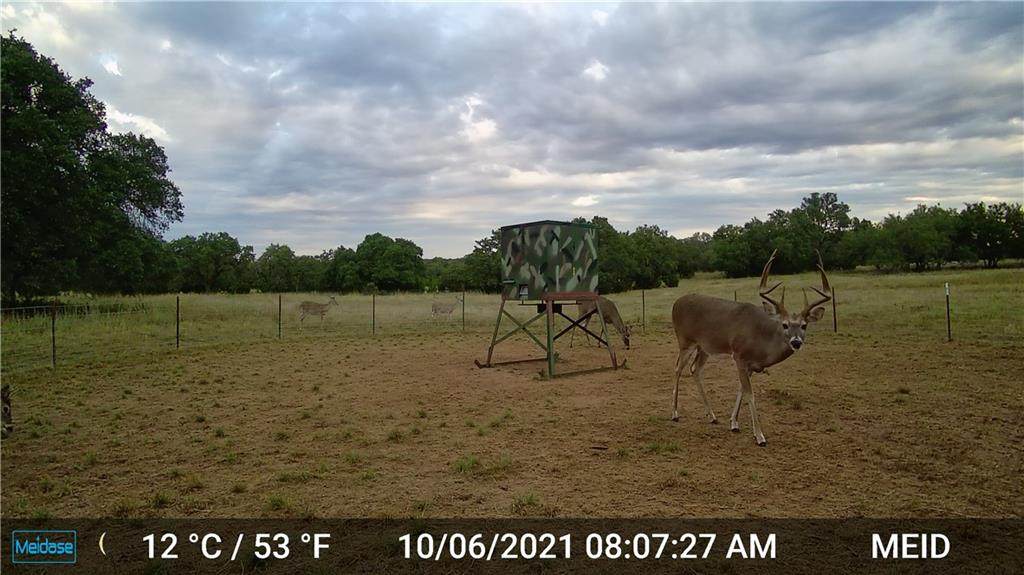 33 Fm 3023 - Photo 1